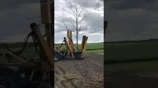 Setting a 15&rsquo; Black Walnut Tree with a tree spade