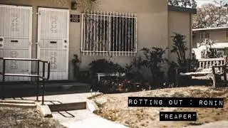 Rotting Out 