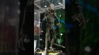 Hot Toys Alien Big Chap 2.0 #alien #hottoys #hottoyscollectibles #classic