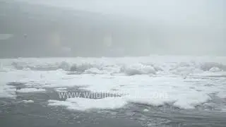 Toxic Foam Covers the Yamuna River Flowing Through Delhi