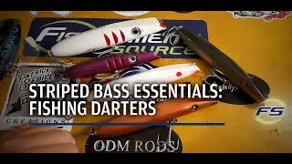 Striped Bass Essentials Fishing Darters