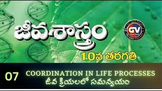 X BIOLOGY -  CH 7-COORDINATION IN LIFE PROCESSES-PODCAST
