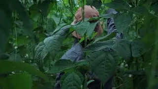 The Plastic House | Trailer | NYFF58