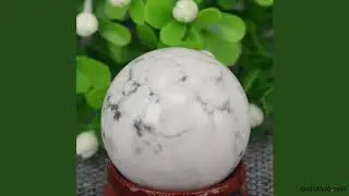(1.2 