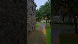 Реальный звук дождя без эффектов и фильтров | ASMR Pure Rain Sounds #shorts #youtubeshorts