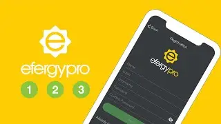 Efergy Pro Installation Guide