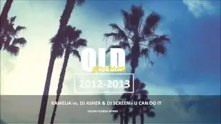 Kamelia vs. Dj Asher & Screen - You Can Do It (Iulian Florea remix)