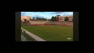 Freshman top highlights