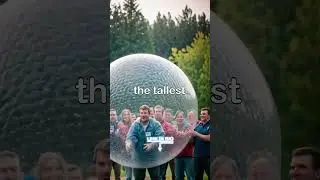 Bizarre World Records