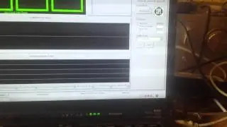 test termlab