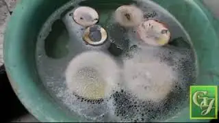 Центробежное литьё ювелирных изделий 