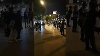 Parque Kennedy. #shorts #gatos #policia #noche #miraflores #peru #lima