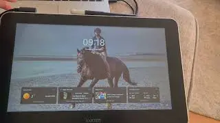 Wacom issue 06/01/26