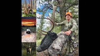 Elk Hunt in Colorado - 2 Bulls with a muzzleloader