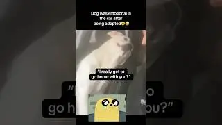 Dog was emotional🥺 #fyp #viral #animals #dog #dogs #cute #adopt #sad #aww #fypシ #shorts #ytshorts
