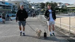 A Day in the Life with Will and Ollie, presented by QBE
