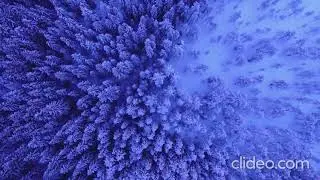 Ой народи всього світу (мінус)