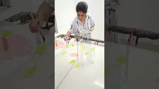 Transform Your Dupatta! Easy Flower Painting Tutorial with Roopzcreation