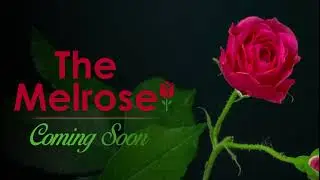 THE MELROSE MOHALI SECTOR 74-A, 9779733369 Call For Details - 9779733369