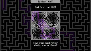 Maze Puzzle Challenge: Can You Solve These Hard Brain Games?
