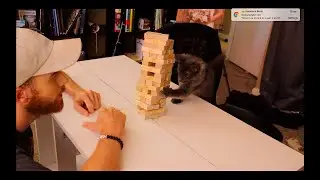 GAME NIGHT WITH MY CAT!