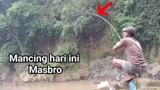 Mancing mahseer sungai bosamba hari ini gak makan masbro!! air masih banjir!! 