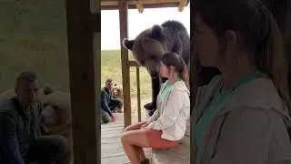Terrifying Moment Caught ! #wildlife #animals #nature #bear #climbing  #shorts #rescue