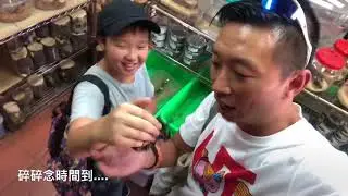 熱血阿傑❤️帶大家逛昆蟲店第七炮--台北市士林區蟲磨坊-戰神大兜蟲-獨角仙-大扁鍬形蟲-蟲研A2木屑-insect shop-蝴蝶-天牛-小灰蝶-竹節蟲-蟲研雲芝菌