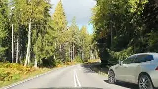 Dashcam: Finnish countryside