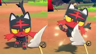 The BEST Pokemon Camp Funny Moments EVER