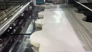 DAKIOU-PY HSP roll die cutting and stripping machine with palletizing online