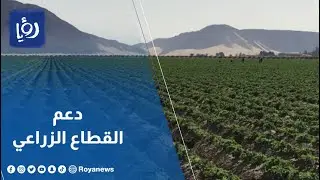 ذراع الأمن الغذائي.. كيف ندعم القطاع الزراعي في الأردن؟