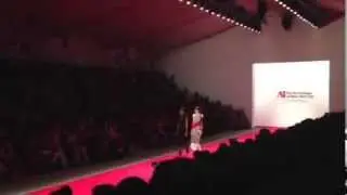 The Art Institute of New York City SS14 Final Presentation