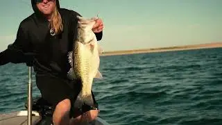 The ALL NEW Whale 6 0 Swimbait is HERE!