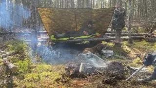 2 Nights Early Spring Bushcraft Camp With My 2 Dogs!!