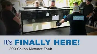 300 Gallon Monster Tank is HERE! * [Plus a Full Fish Room Walkthrough]* - Good News / Bad News!