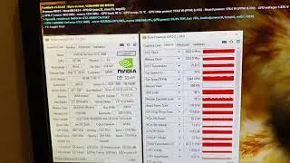 Asus GTX 1080 Turbo 8Gb тест Furmark