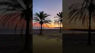 Beautiful Sunrise in Gand&iacute;a in December 🌴