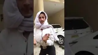 Rabia Anum and Wajih Sani TikTok Funny Clip