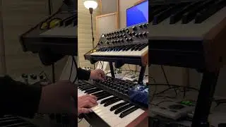 Moog subsequent 37 X Prophet rev2 (ambient electro music