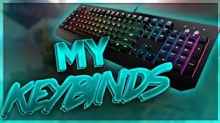 BEST KeyBinds/Button Layout On Console Fortnite!-PRO Custom Button Assignment Season 6(PS4/XBOX)