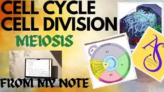 Meiosis /cell cycle //LTR//OSSTET //SSD TGT //RHT#JT#SSB /BIOLOGY //SCIENCE WITH SIMA MAM