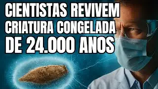 Cientistas Revivem Criatura Congelada de 24 000 Anos