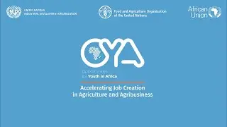 OYA Programme: Accelerating job creation and entrepreneurship in agriculture and agribusiness
