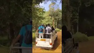Rani jhari trek #karnataka #chikmagalur #trekking #safari #views #hiking #rani #pickup #travel #vlog