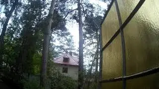 Treppenaufstieg an einer Waldkiefer in Berlin Frohnau