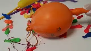 ASMR/ Big Orange Balloon
