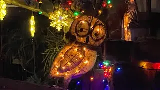 Sunday Walk- New Eve Magic🎄Воскресная Прогулка- Новогоднее волшебство🎄