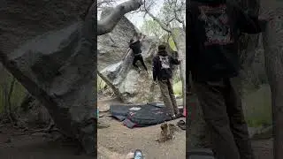 Twisted (V4) - LCC