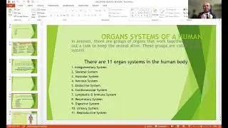 Bite sized Biology - Major organ systems